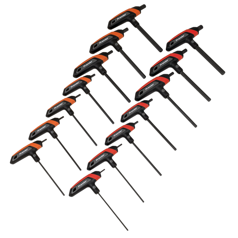 Sealey AK7149 Premier Metric/Imperial T-Handle Hex Key Set 14pc