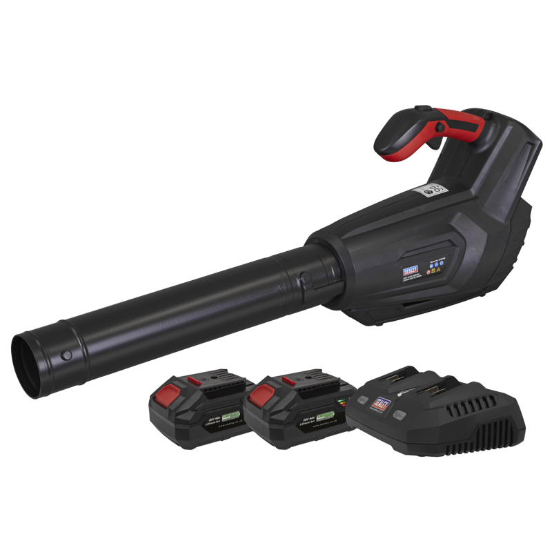 Sealey CP40VBKIT Cordless Blower Kit 40V 4Ah SV20 Series