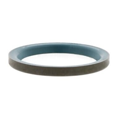 GR6X10X2 INA Nitrile Rubber Single Lip Metal Cased Oil Seal