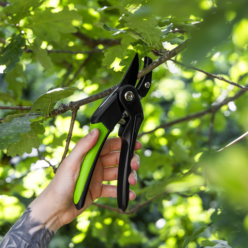 Sealey GTSG005 Anvil Secateurs with Soft Grip Handle, 3-Stage Safety Lock Carbon Steel Blade, 220mm