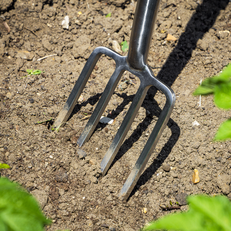 Sealey GTWH016 Premier Digging Fork with Ash Handle Stainless Steel Tines