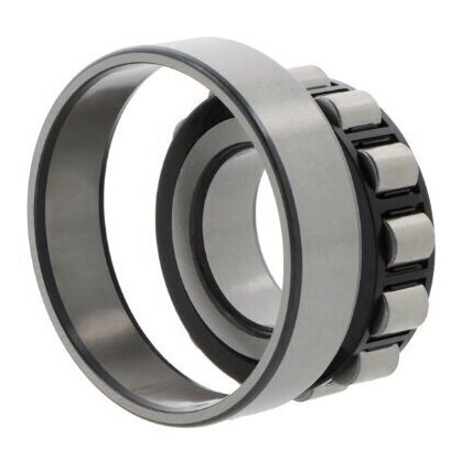 N313 ECPC3 SKF Cylindrical Roller 65mm x 140mm x 33mm