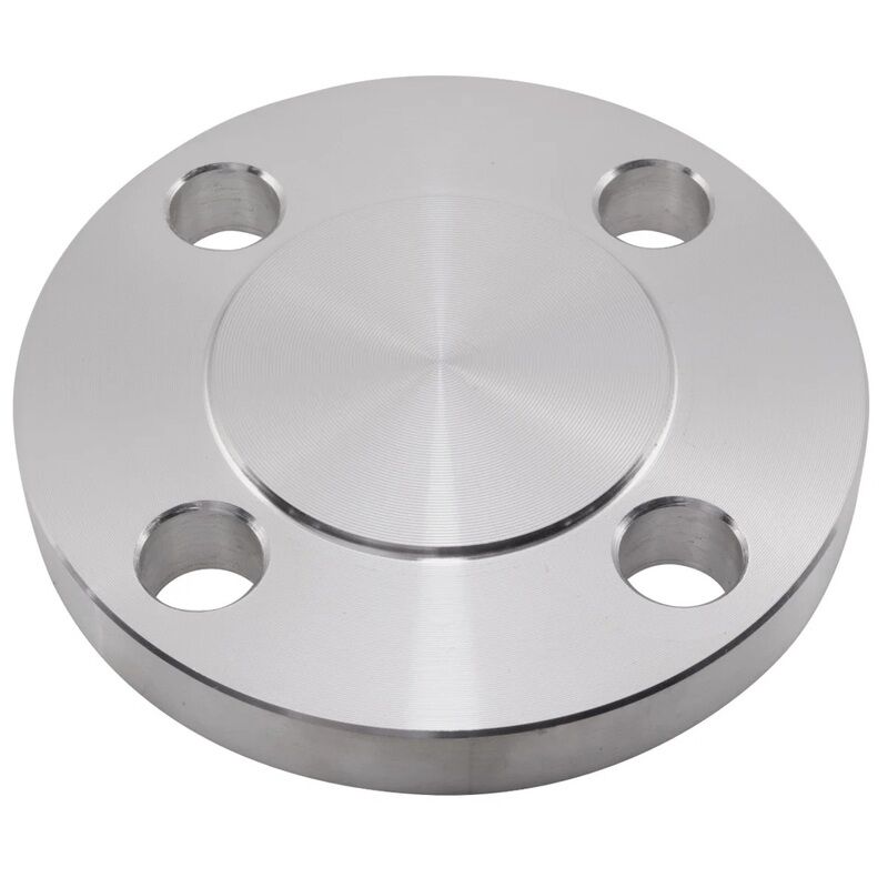 1.1/4inch NB PN6 Type 05 Raised Face Blind Flange SS316L