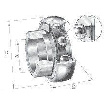 RAE20NPPB 20mm Bore INA Bearing Insert