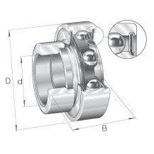 RAE30NPP 30mm Bore INA Bearing Insert