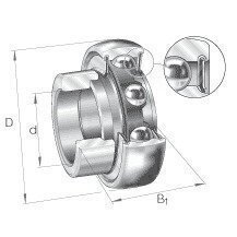 RALE20NPPB 20mm Bore INA Bearing Insert