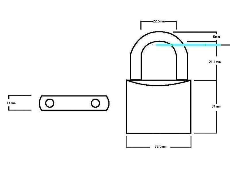 Squire LN4 Lion Brass Padlock 5-Pin 40mm