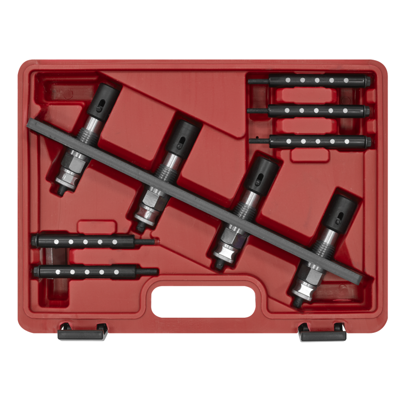 Sealey VS2081 Petrol Fuel Injection Removal/Installation Kit for BMW Mini