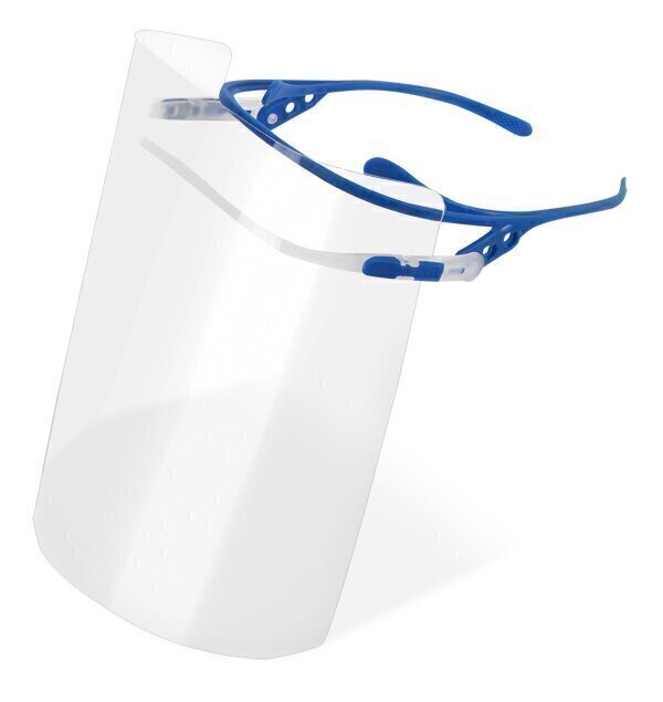 Visor Frame Inc 10 Visors  Blue 