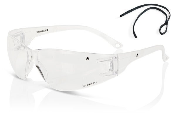 Wrap Around Spectacle  Clear 